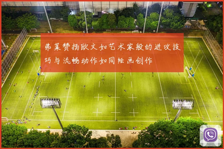 弗莱赞扬欧文如艺术家般的进攻技巧与流畅动作如同绘画创作